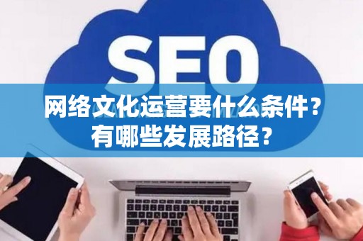 网络文化运营要什么条件？有哪些发展路径？